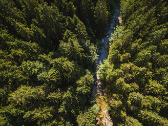 Preciosa's emissions reduction