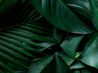 Preciosa Product Compliance and Conformity