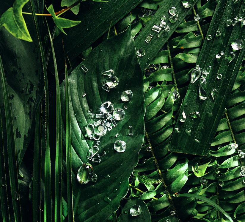 Premium fancy crystals by Preciosa