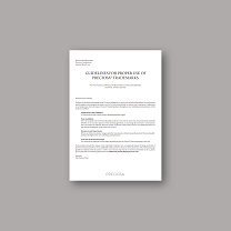 Preciosa Branding Guide