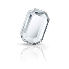 Octagon MAXIMA FB