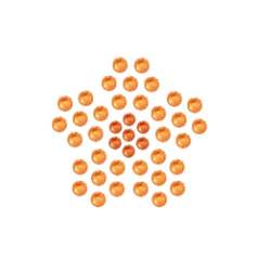 水晶烫贴 喇叭花