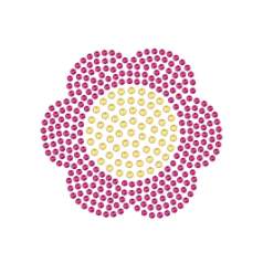 水晶烫贴 牡丹花