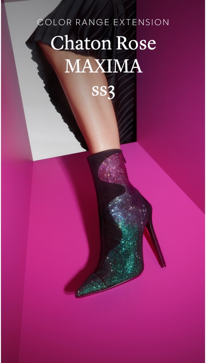 Chaton Rose Maxima ss3