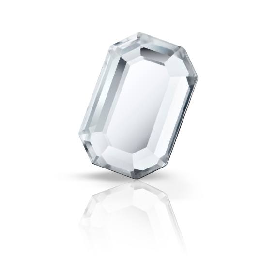 Octagon MAXIMA FB Octagon MAXIMA FB