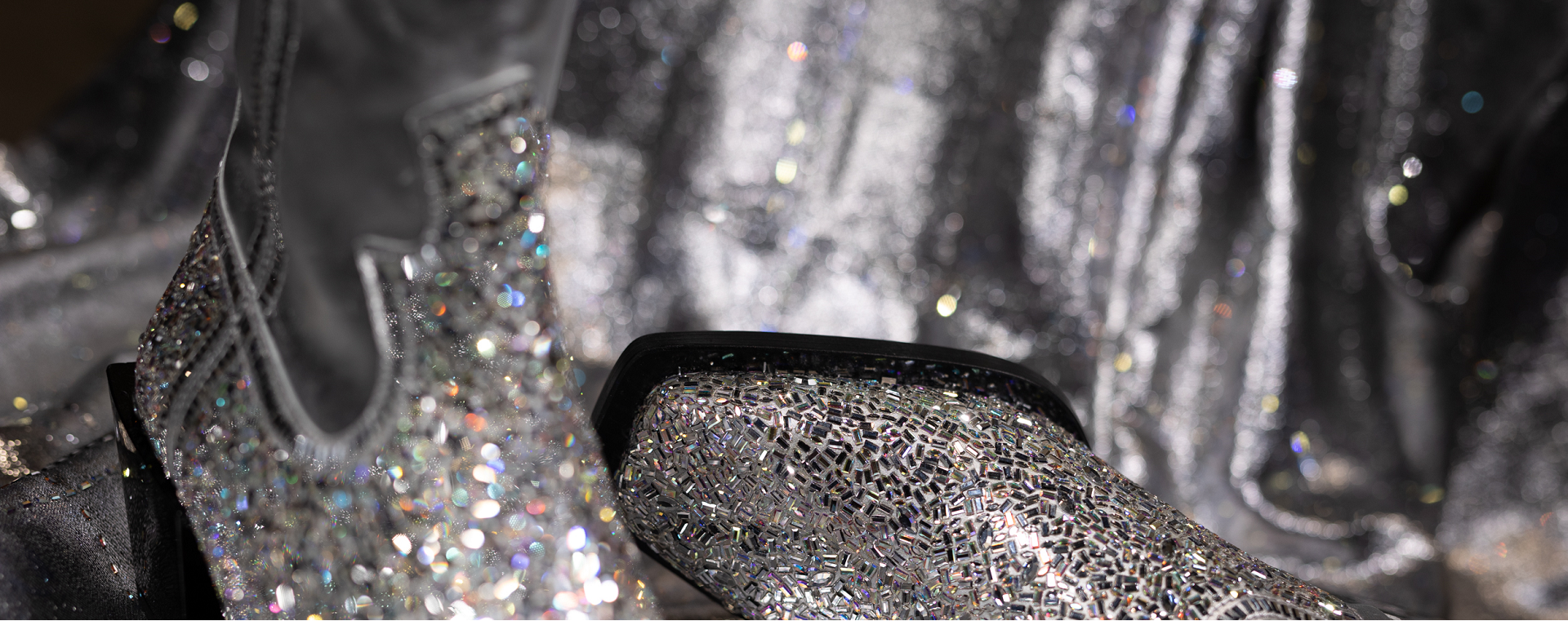 The Silver Shining