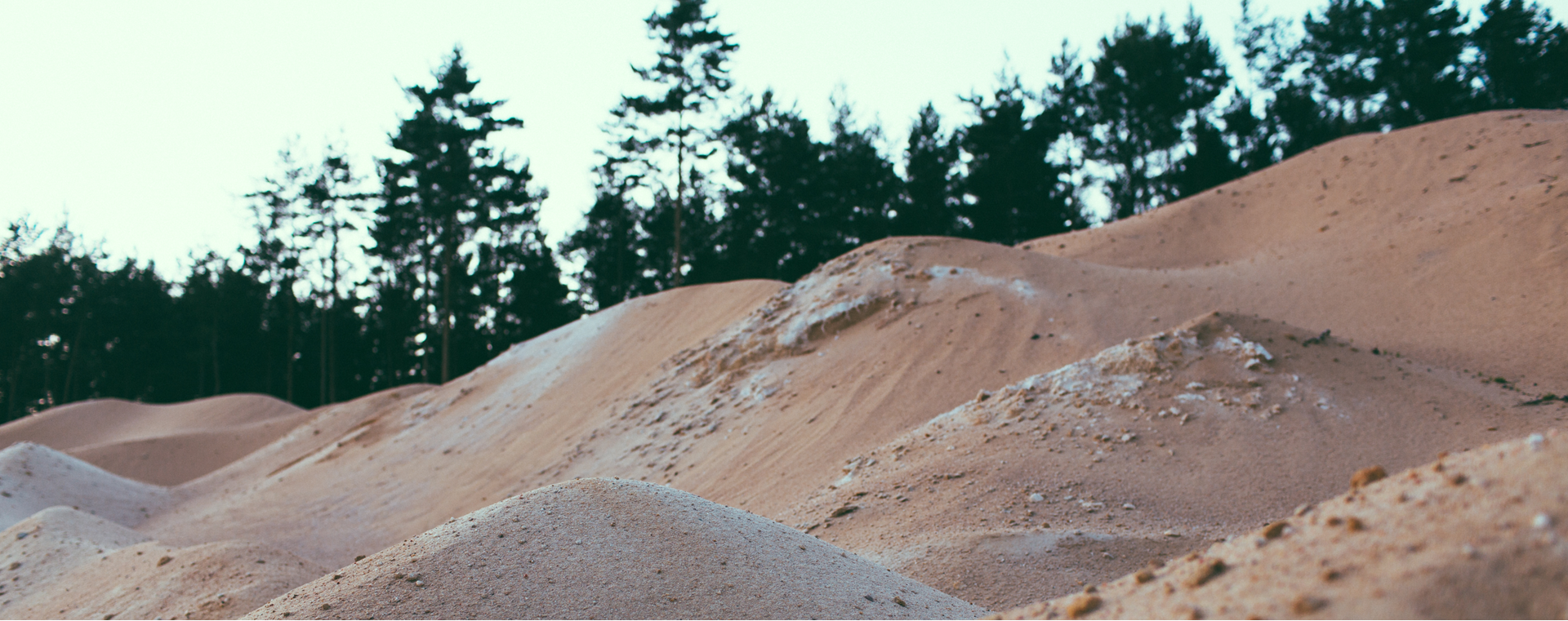 Interview with the Head of Purchasing 