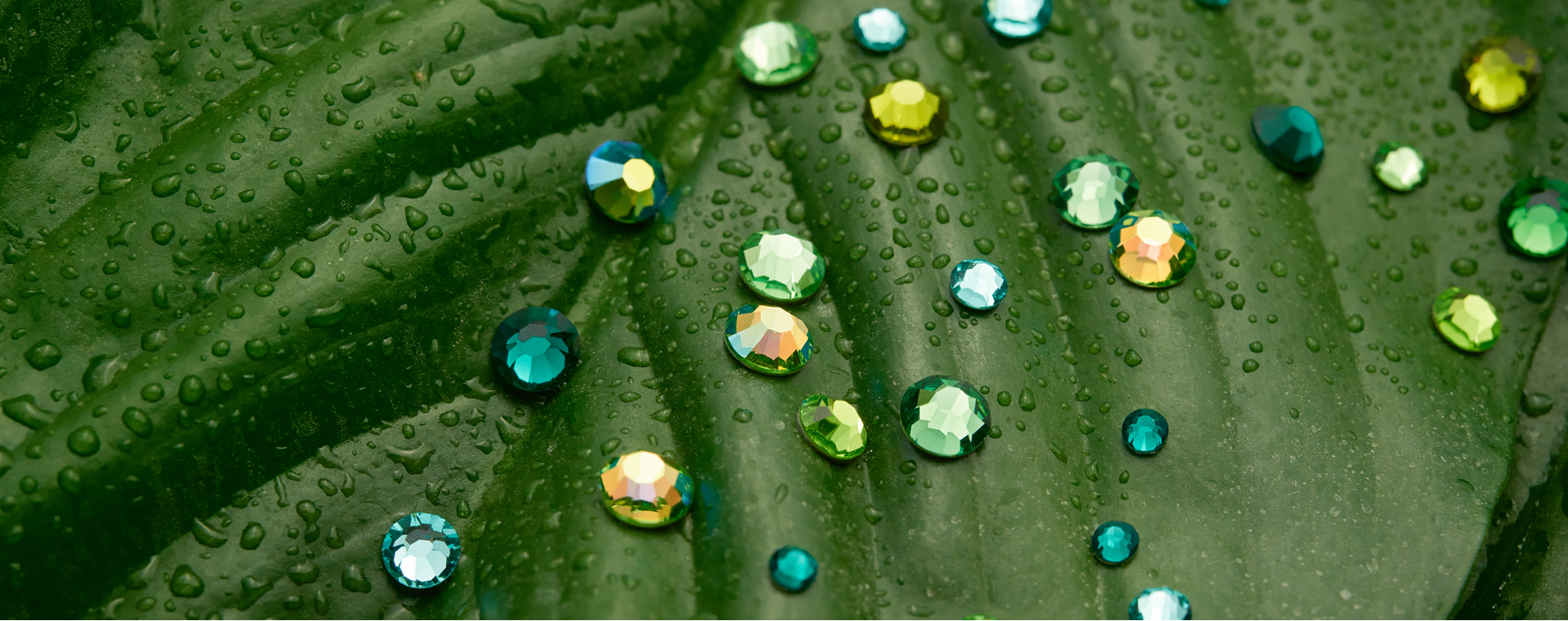 Shaping the Future of Crystal Craftsmanship at Preciosa