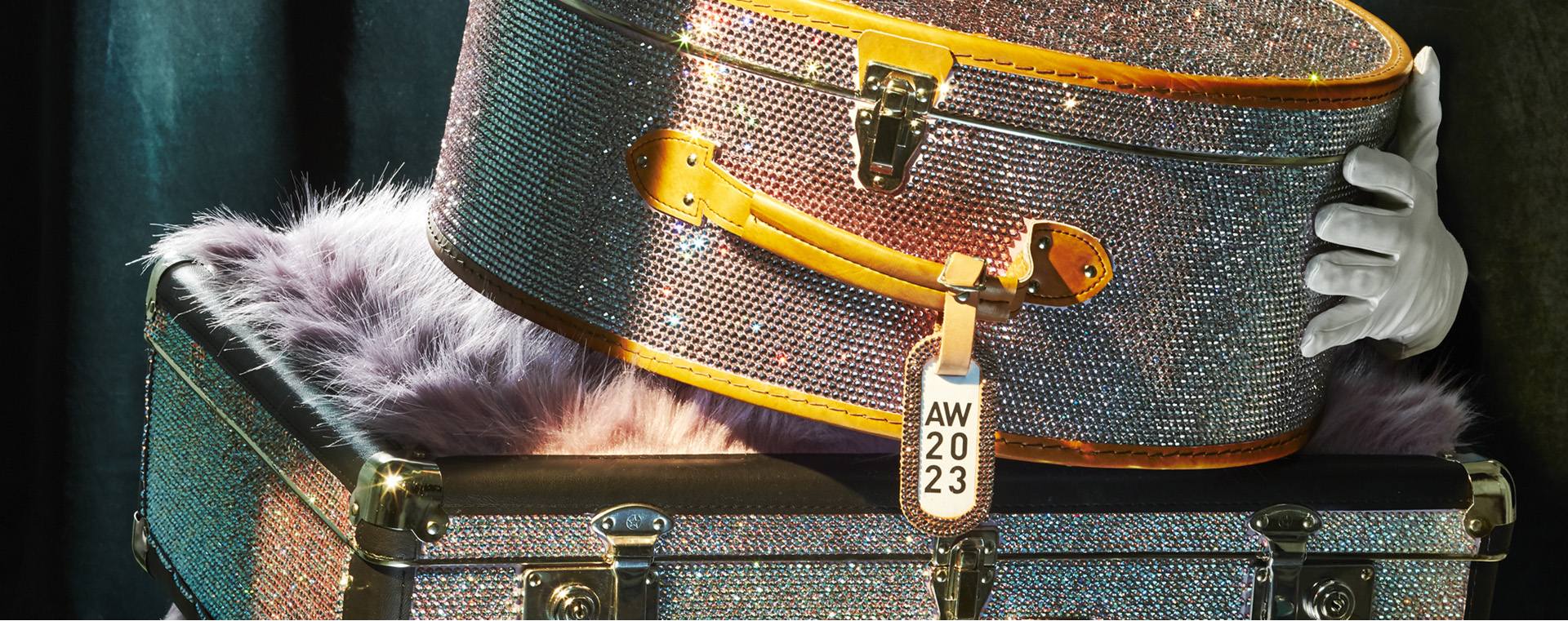 奇迹的名字叫“魅紫”