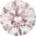 Pale Rose