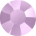 Violet Matt