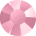 Rose Matt
