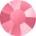 Indian Pink Matt