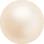 Round Pearl 1H MXM 10 creamrose