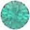 Chaton MAXIMA pp0 blu.zirc DF
