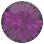 Chaton MAXIMA ss10/pp21 amethyst DF