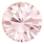 Chaton MAXIMA ss3.5/pp8 vint.ros U