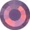 Rose VIVA12 ss10 ame.opal HF