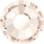 Rose MAXIMA ss12 l.g.quar DF