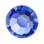 Rose MAXIMA ss6 bl.viol DF