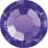 Rose MAXIMA ss7 purp.v. DF