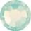 Rose MAXIMA ss8 chr.opal HF