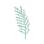 TR0 Fern Leaf